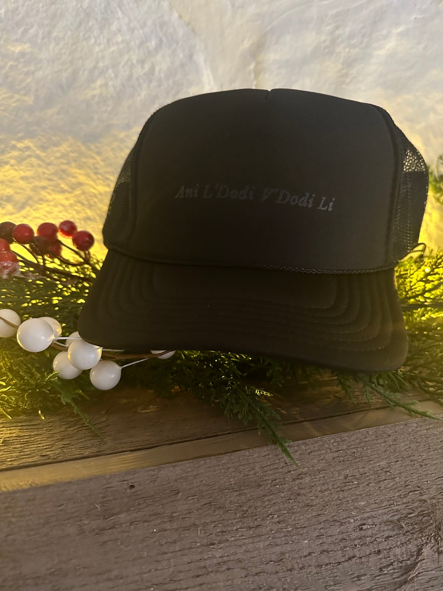 Ani L'Dodi V'Dodi Li Trucker Hat